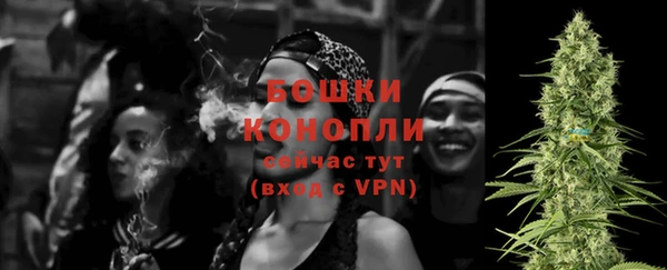 ECSTASY Сосновка