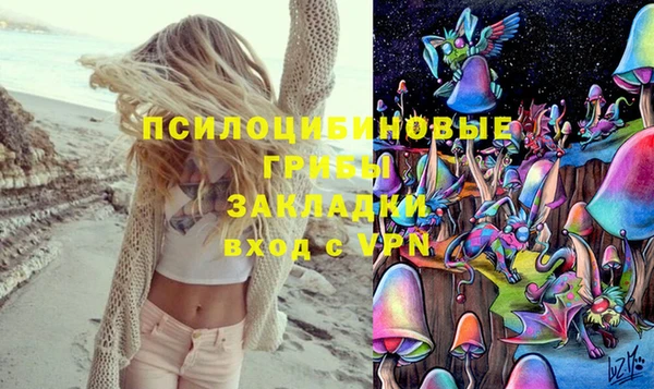 ECSTASY Сосновка