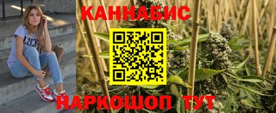 стаф Будённовск