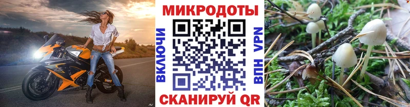 Псилоцибиновые грибы прущие грибы  Североуральск 