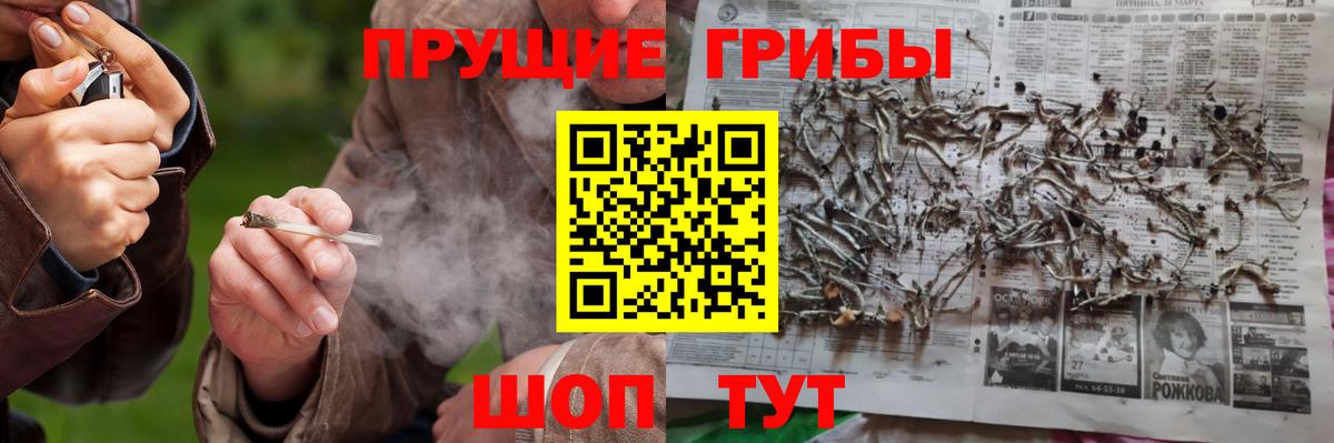 Галлюциногенные грибы мухоморы  Вход с VPN  Североуральск  Галлюциногенные грибы мухоморы 