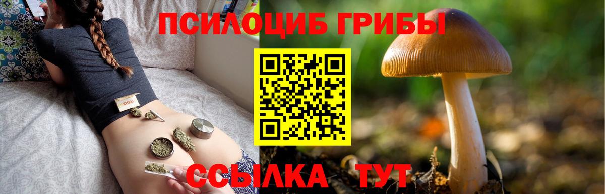 Галлюциногенные грибы мухоморы Североуральск