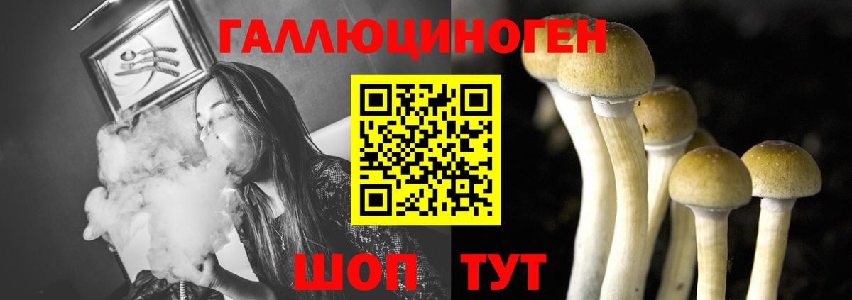 Галлюциногенные грибы Psilocybine cubensis Североуральск
